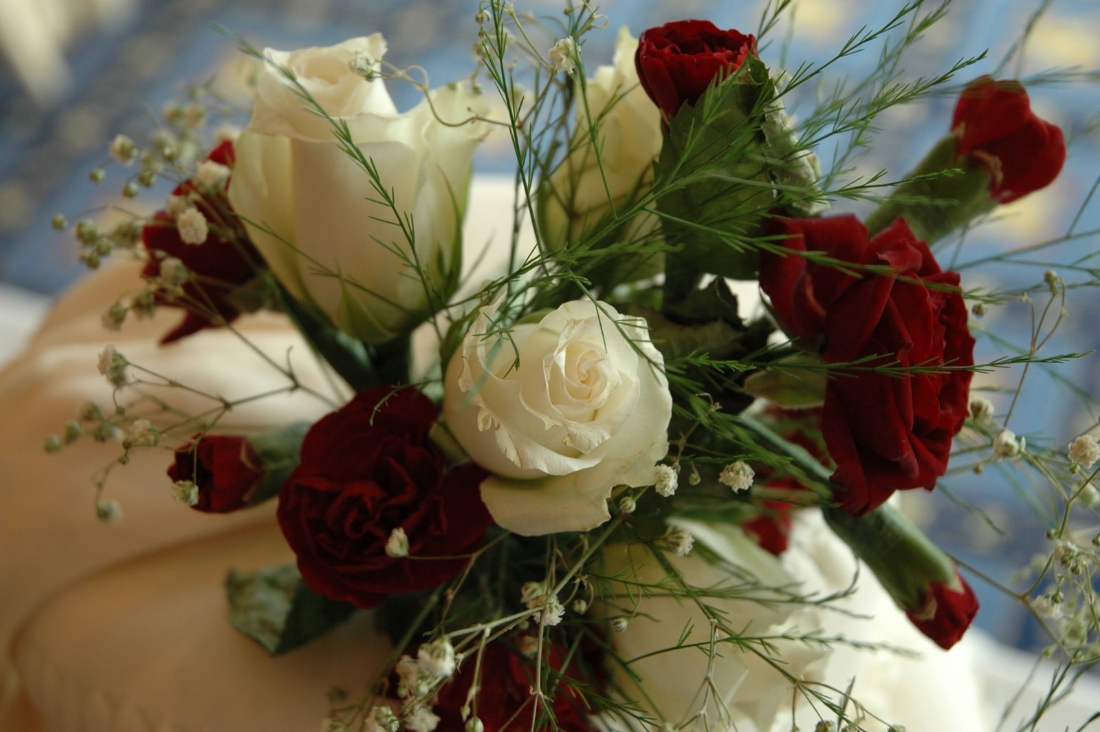 Red & White Roses